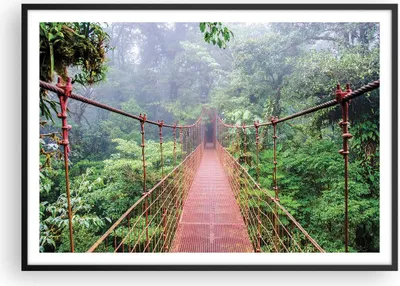 Produktbild von Gerahmtes Poster - Schwarzer Rahmen - Brücke ausgesetzt Costa Rica - 100x70 cm - Wand Bild - Wanddeko - Wandbilder - Kunstposter - Wandposter - Bilderrahmen - Bilder - Kunstdruck - P2BAA100x70-4923
