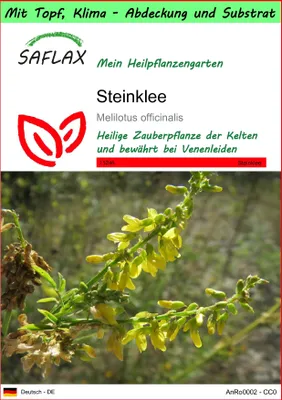 Produktbild von SAFLAX Garden to go - Steinklee - Melilotus officinalis - 250 Samen - Mit Topf, Klima - Deckel und Anzuchtsubstrat