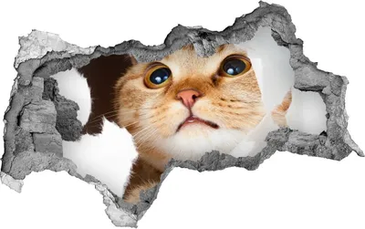 Produktbild von Selbstklebender Loch-3D-Aufkleber 95x73 cm Katze im Loch