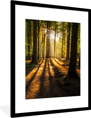 Produktbild von MuchoWow® Gerahmtes Poster Sonne - Bäume - Wald - Landschaft - Natur 60x80 cm - Poster mit Schwarzem Bilderrahmen Wandposter Rahmen Foto Bilder - Wohnzimmer - Dekorationen - Prämie