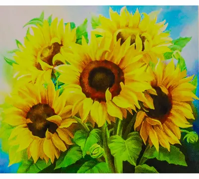 Obrázok produktu pre Obraz podľa čísel, kvetinový motív slnečníc, 50x40 cm, s rámom