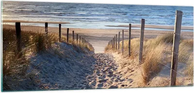 Produktbild von Bilder auf glas - Meer Strand Düne - 100x40cm - Glasbilder - Wandbilder - Kunstdruck - zum Aufhängen bereit - Wanddekoration aus Glas - Glas Bilder - Wandbild auf Glas - Einteilig - GAB100x40-3612