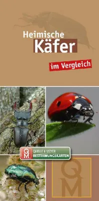 Produktbild von Heimische Käfer