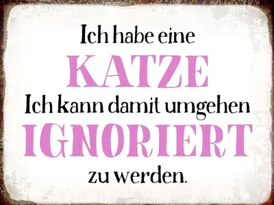 Produktbild von vianmo Holzschild 30x40 cm habe Katze kann ignoriert werden