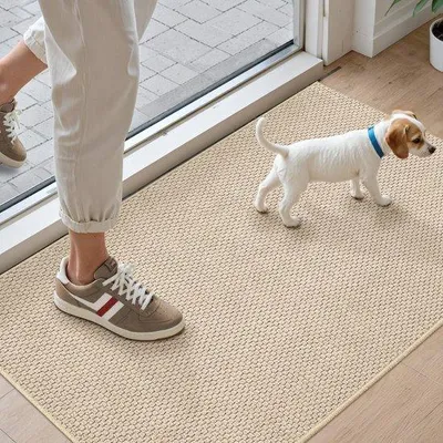 Produktbild von Unyqoos ® hochwertige saugfähige Fußmatte für Innen- und Außenbekleidung, waschbar und rutschfest, 44 x 76 cm, beige