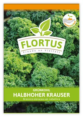Produktbild von Grünkohl Halbhoher Krauser | Grünkohlsamen von FLORTUS