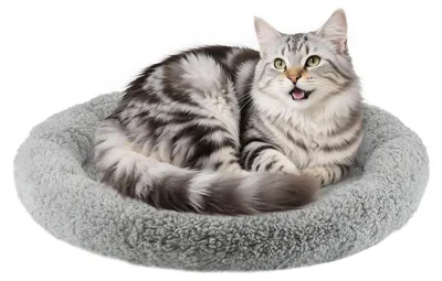 Produktbild von Katzenbett Rund Donut Kissen Grau 50cm, Waschbar