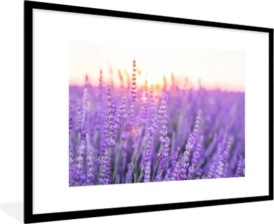 Produktbild von MuchoWow® Gerahmtes Poster Lavendel - Nahaufnahme - Lila - Blumen 90x60 cm - Poster mit Schwarzem Bilderrahmen Wandposter Rahmen Foto Bilder - Wanddekoration - Fotos