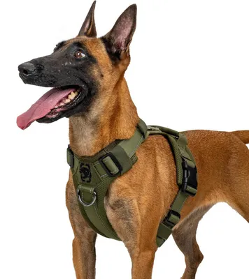 Produktbild von Hundegeschirr Taktisch Einstellbar Gepolstert Grün L