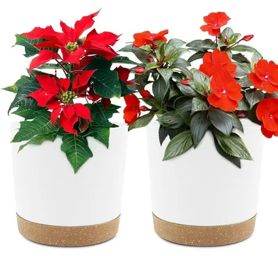 Produktbild von Blumentöpfe 2er Set 16,5cm Weiß mit Untersetzer für Zimmerpflanzen & Garten