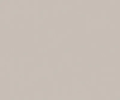 Produktbild von A.S. Création Unitapete Trendwall einfarbige Tapete unifarben Vliestapete mit Glitzereffekt beige 10,05 m x 0,53 m