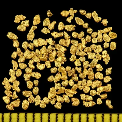 Produktbild von 1 Gramm Echte Goldnuggets aus Alaska mit 0,5 - 1 mm inkl. Echtheitszertifikat