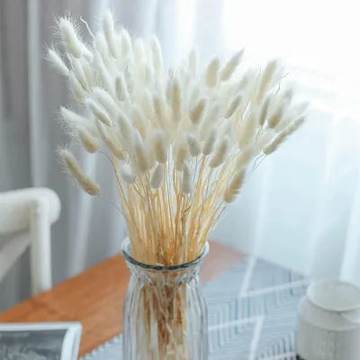 Produktbild von 60 Stück Pampasgras Trockenblumen Deko 45 cm Weiß