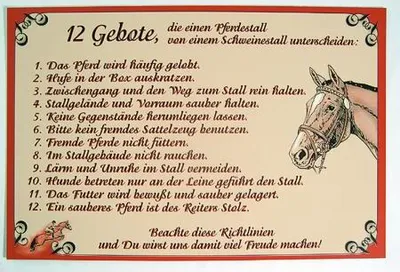 Produktbild von Hinweisschild - 12 Gebote - Gr. ca. 45 x 30 cm - 308574