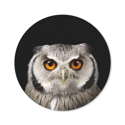 Produktbild von MuchoWow® Mauspad Mousepad Porträt Eule 50x50 cm - Mousepads - Maus Mat - Pad - Mausunterlage - Vinyl
