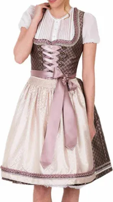 Produktbild von Dirndl Merida beere 60er Länge 38