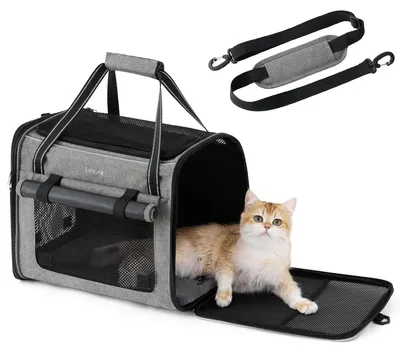Produktbild von Katzentransportbox Katzenbox - Faltbar - Hellgrau - 43,5 x 29,5 x 34 cm - Autogurt