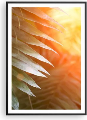 Produktbild von Gerahmtes Poster - Schwarzer Rahmen - Exotisch Blätter Dämmerung - 70x100 cm - Wand Bild - Wanddeko - Wandbilder - Kunstposter - Wandposter - Bilderrahmen - Bilder - Kunstdruck - P2BPA70x100-4807