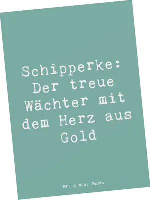 Produktbild von Mr. & Mrs. Panda Ansichtskarte Spruch Schipperke Wächterherz - Meeresbrise - Geschenk, Kunstkarten, Hunderasse, Hunderassen, Postkarten, bedingungslose Liebe, Postkarte