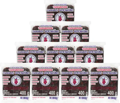 Produktbild von TD Tamarindenpaste 10x400g