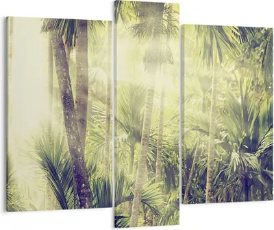 Produktbild von Bild auf Leinwand - Leinwandbild - 3 Teile - Morgendämmerung Dschungel Palmen - 95x80cm - Wand Bild - Wanddeko - Wandbilder - Leinwanddruck - Bilder - Wanddekoration - Leinwand bilder - CB95x80-4450