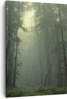 Produktbild von Bild auf Leinwand - Leinwandbild - Einteilig - Wald Nebel Baum - 50x70cm - Wand Bild - Wanddeko - Wandbilder - Leinwanddruck - Kunstdruck - Wanddekoration - Leinwand bilder - Wandbild - PA50x70-3543