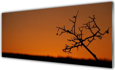 Produktbild von Acrylglasbilder 125x50 Wandbild Druck Baum Kunst