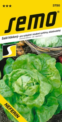 Obrázok produktu pre ŠALÁT HLÁVKOVÝ na rýchlenie Neferin