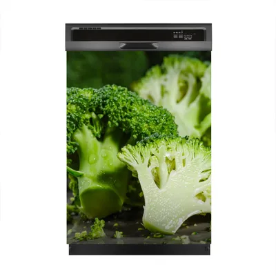 Produktbild von Magnete Dekorative 60x80 cm Küche Magnetmatte Spülmaschine - Gemüse Brokkoli