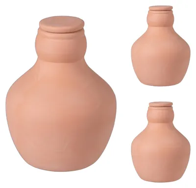 Obrázok produktu pre Relaxdays Ollas, sada 3 ks, 500 ml, hlinené, zavlažovanie pri koreňoch, vyvýšené záhony a skleníky, menšia strata vody, terakota