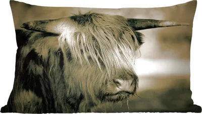 Produktbild von MuchoWow® Zierkissen Sofakissen Wohnzimmer Dekokissen 50x30 cm Schottisches Hochlandrind - Tiere - Haare - Wohnzimmerdekoration - Polster mit Photo