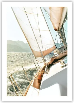 Produktbild von Poster - Poster ohne Rahmen - Yacht Segeln So - 50x70 cm - Wand Bild - Wanddeko - Wandbilder - Kunstposter - Wandposter - Bilder - Kunstdruck - Wanddekoration - Wandbild - P2XPA50x70-4847
