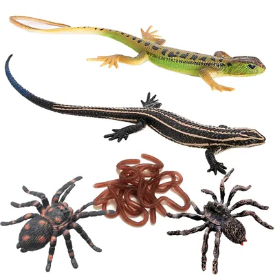 Image de Deux figurines de lézards, douze vers artificiels de 18 cm, pour Halloween