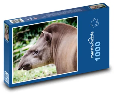 Obrázok produktu pre Puzzle 1000 Tapír v Južnej Amerike - martinpuzzle