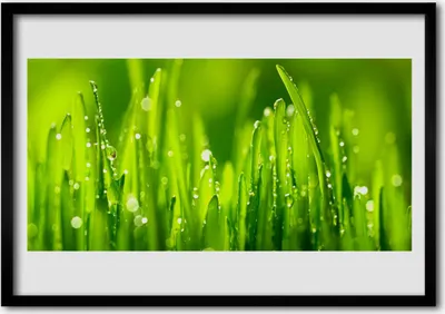 Produktbild von Bild 70x50 MDF-Rahmen Wandkunst Grünes Gras-Tau-Tropfen