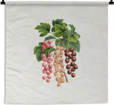 Produktbild von MuchoWow® Wandteppich Wandbehang Obst - Weinlese - Beeren 150x150 cm Tapisserie Dekoration Wandtuch - Wohnaccessoires - Modernes