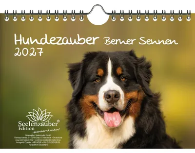 Produktbild von Hundezauber Berner Sennen DIN A5 Kalender für 2027 Welpen und Hunde - Seelenzauber