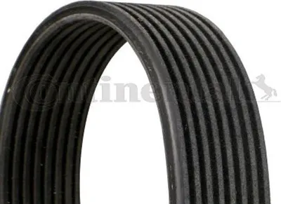 Produktbild von Contitech Keilrippenriemen  8Dpk1827