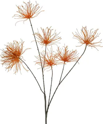 Produktbild von Warentuin Producten