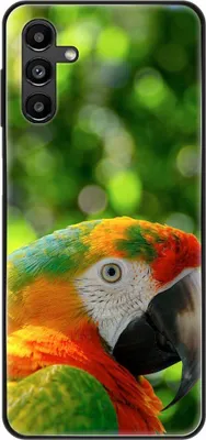 Produktbild von König Design Hülle kompatibel mit Samsung Galaxy A13 5G Kunststoff Soft Handyhülle - Handy Case Papagei