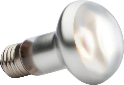Produktbild von Hagen EX TightBeam Tageslichtleuchte SG Spot R20/75W; PT2136