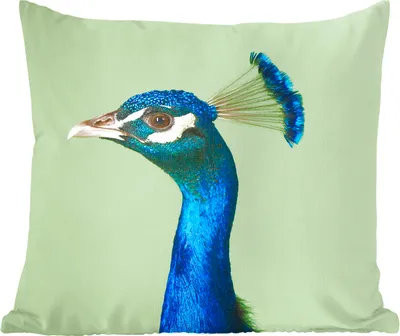 Produktbild von MuchoWow® Zierkissen Sofakissen Wohnzimmer Dekokissen 40x40 cm Pfau - Vogel - Federn - Foto Kissen - Schlafzimmer Dekoration