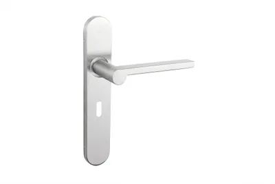 Produktbild von Lavuzo Türgriff Caserta Edelstahl mit abgerundetem Schild SL56 - Pro Set