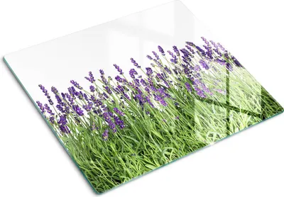 Obrázek produktu pro Kryt varné desky – Kryt na indukční desku – Ochranná skleněná deska – 60x52 cm – Skleněné ochranné desky na sporák –Tvrzené sklo –Květy levandule