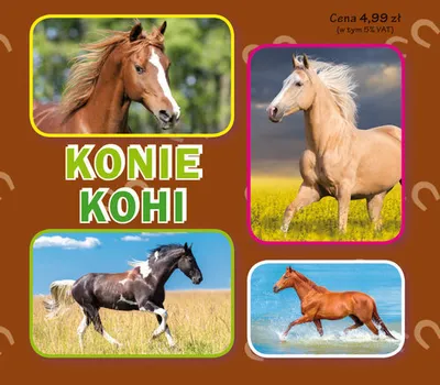 Zdjęcie produktu dla Konie. Коні