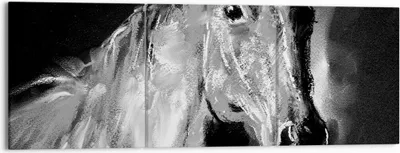 Produktbild von Bild auf Leinwand - Leinwandbild - Pferd Natur Tier - 150x50cm - Wand Bild - Wanddeko - Wandbilder - Leinwanddruck - Bilder - Kunstdruck - Wanddekoration - Leinwand bilder - Wandkunst - CA150x50-3426
