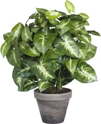 Produktbild von Mica Kunstpflanze Syngonium grün im Topf 35 x 25 cm
