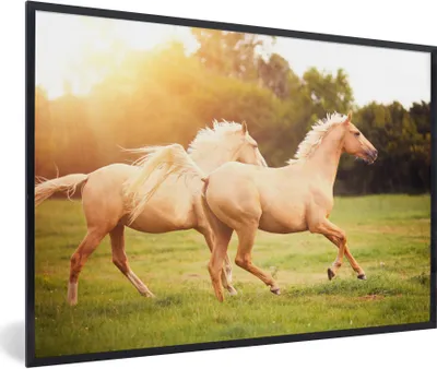Produktbild von MuchoWow® Gerahmtes Poster Pferde - Gras - Sonne 60x40 cm - Poster mit Schwarzem Bilderrahmen Wandposter Rahmen Foto Bilder - Printing - Wanddeko Schlafzimmer