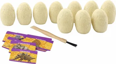 Produktbild von Archäologie Dinosaurier-Ausgrabungsset (12 Teile)