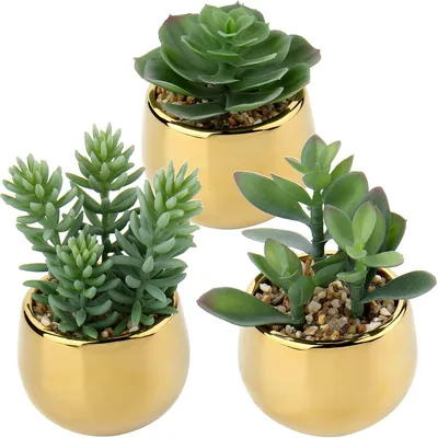 Produktbild von 3 künstliche Sukkulenten, künstliche Frühlingsdekoration, Zimmerpflanzen, künstliche Blumen in Keramiktöpfen, Dekoration für Wohnzimmer, Garten, Balkon, Schlafzimmer, Badezimmer